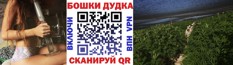 Бошки Шишки тримм Купить закладки Заозёрный
